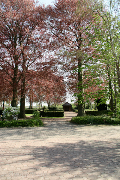 110411152213 IMG 6804