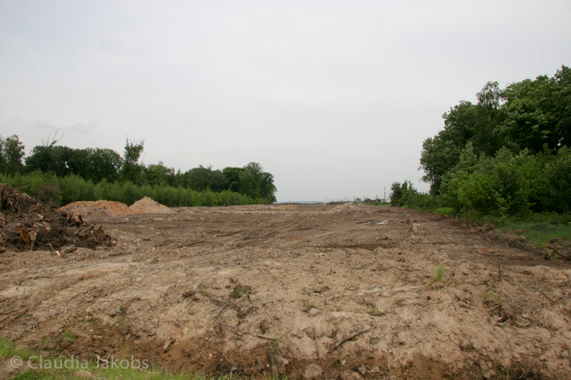 090521152445 IMG 4589