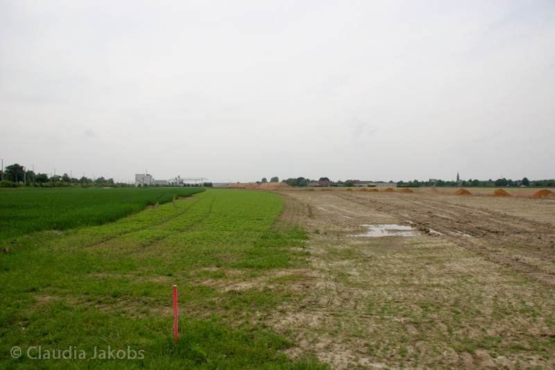 090521152453 IMG 4590