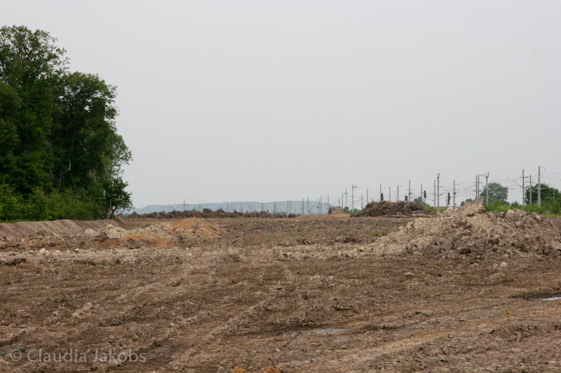 090521152506 IMG 4592