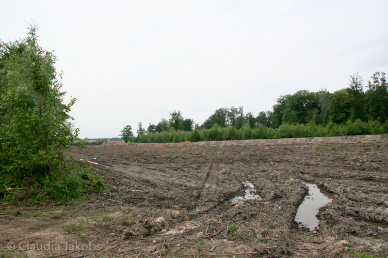 090521152847 IMG 4594