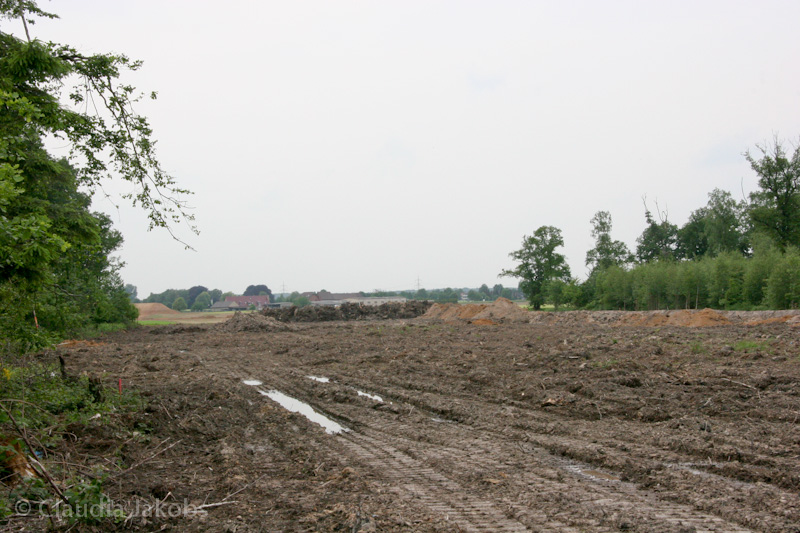 090521152912 IMG 4596