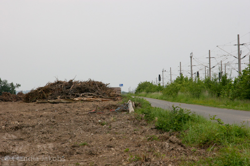 090521152922 IMG 4598