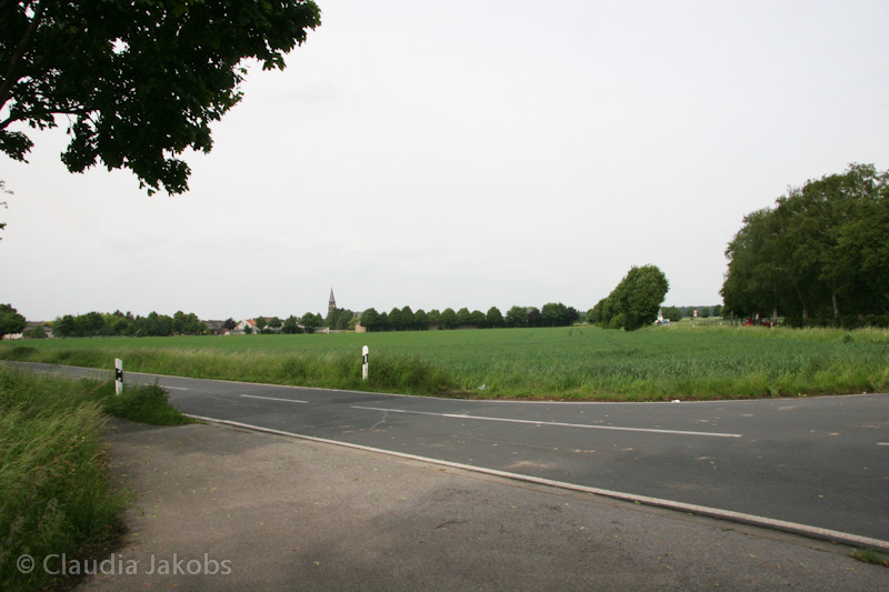 090521160043 IMG 4621