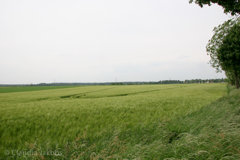 090521160108 IMG 4624