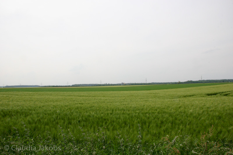 090521160113 IMG 4625