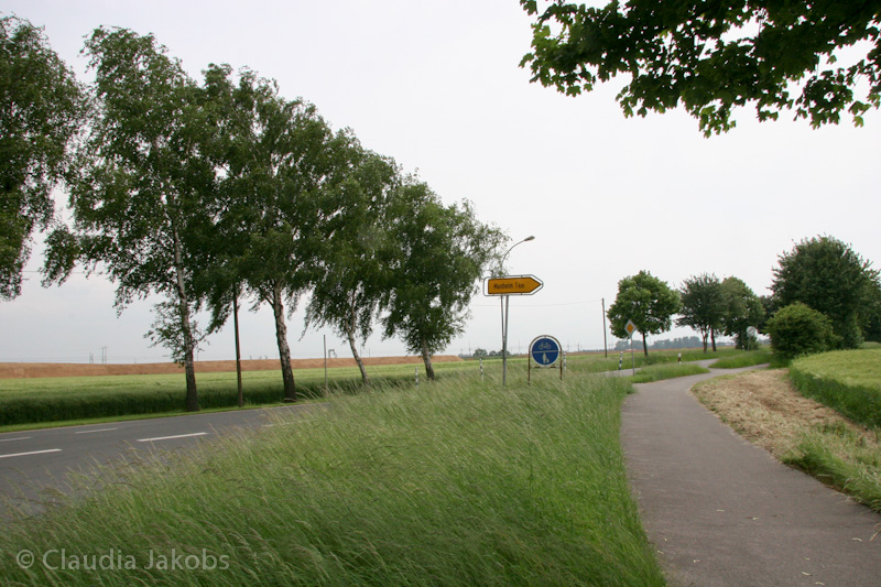 090521160133 IMG 4627