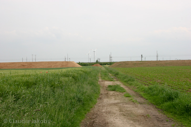 090521160642 IMG 4632