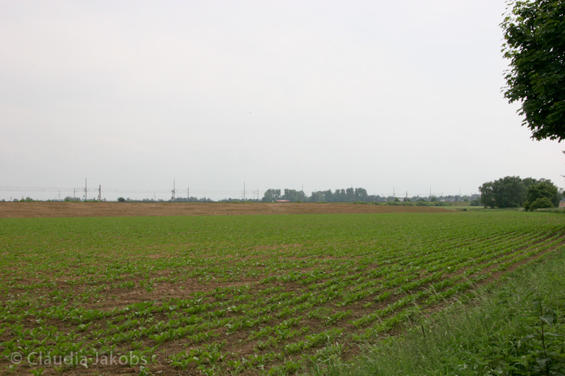 090521160646 IMG 4633