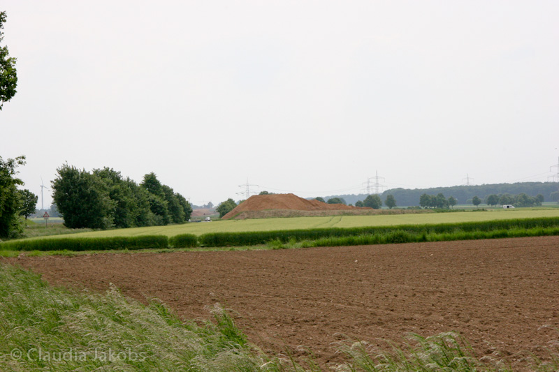 090521160905 IMG 4635