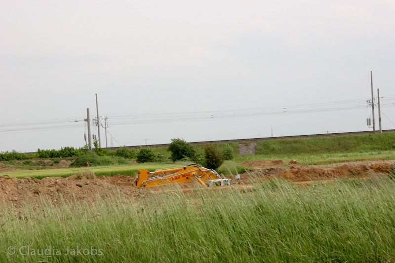 090521160917 IMG 4636