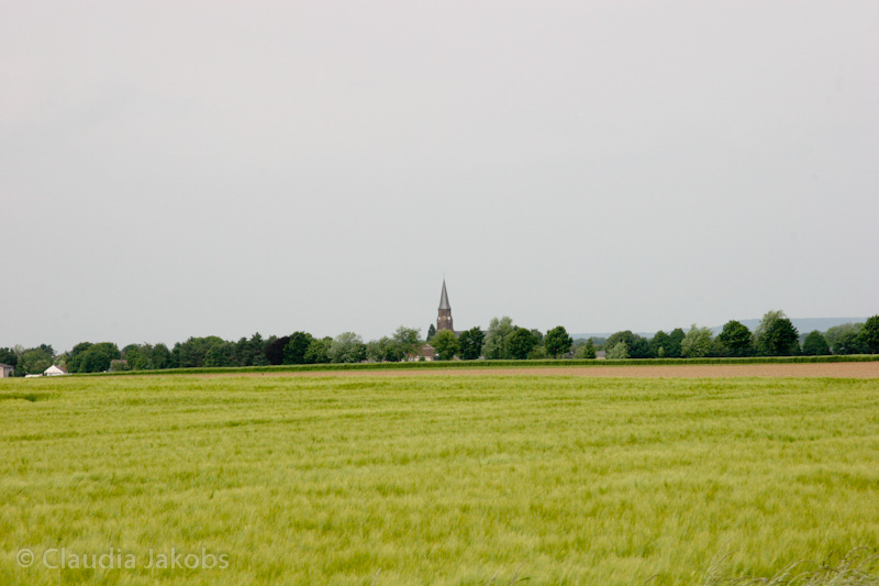 090521161715 IMG 4646