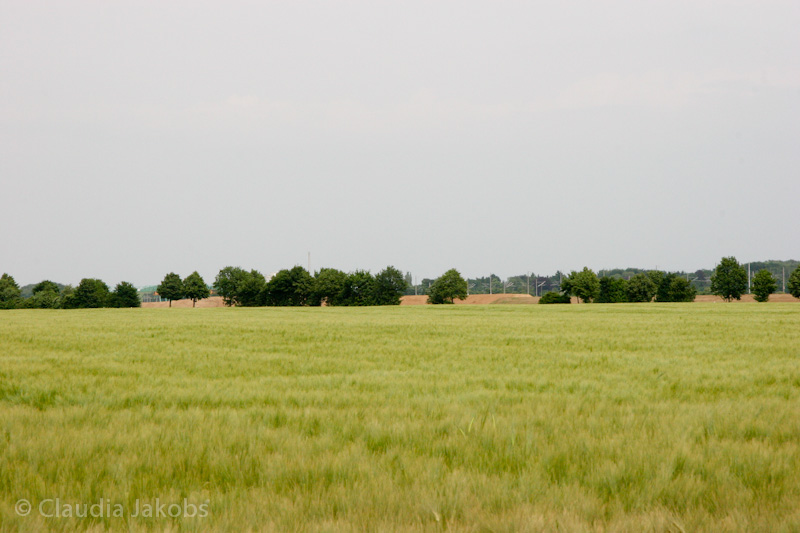 090521163041 IMG 4661