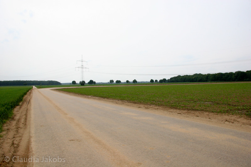 090521163955 IMG 4671