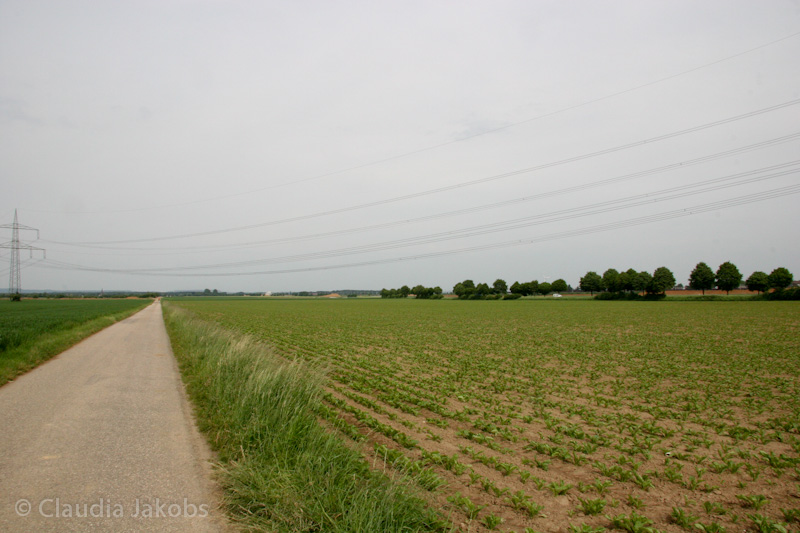 090521164337 IMG 4673