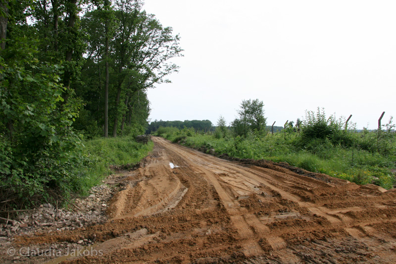 090521170236 IMG 4677