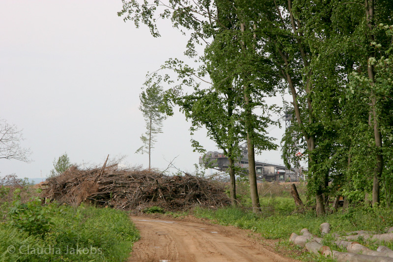 090521170300 IMG 4680