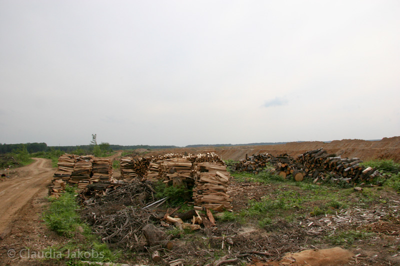 090521171203 IMG 4687