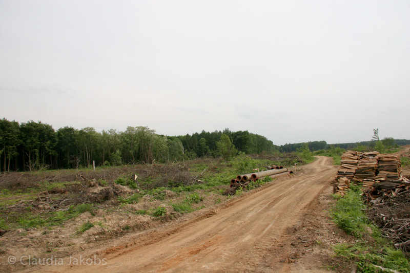 090521171207 IMG 4688