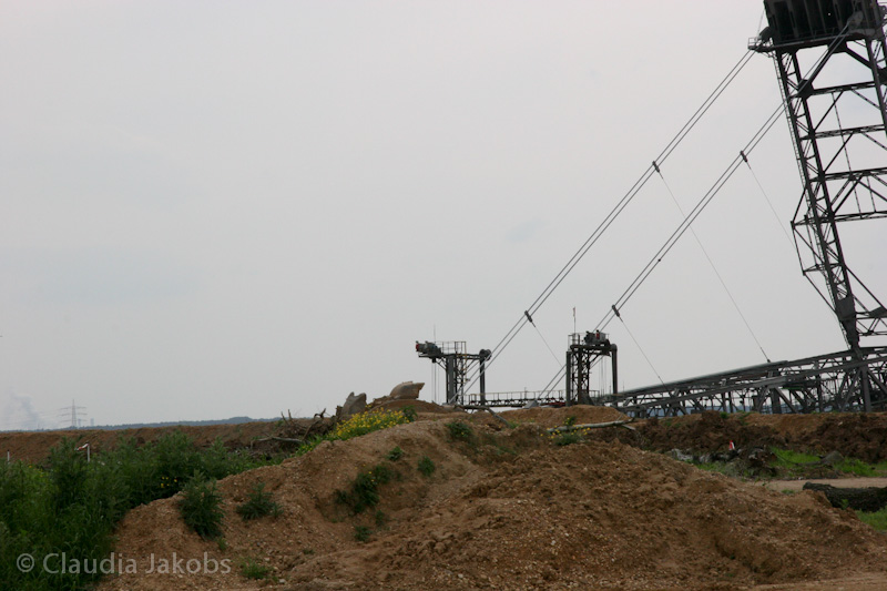 090521172530 IMG 4690