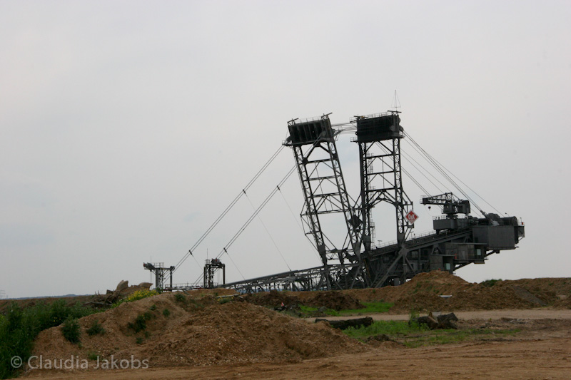 090521172539 IMG 4691