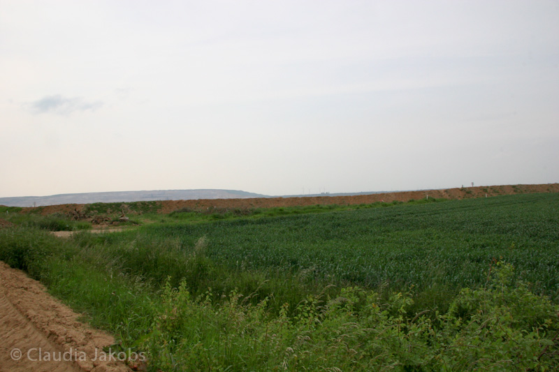 090521173357 IMG 4696