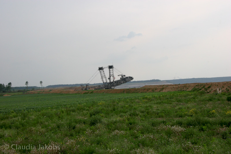 090521173812 IMG 4697