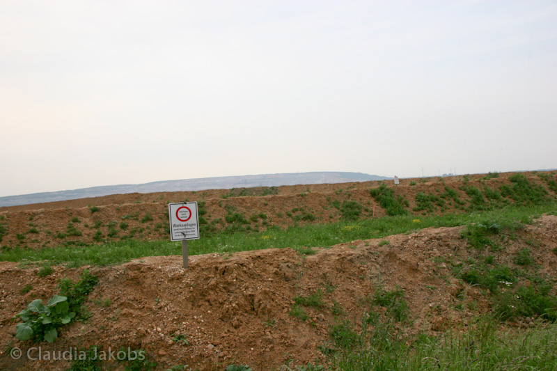 090521174114 IMG 4703