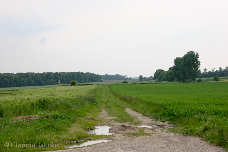 090521174909 IMG 4706