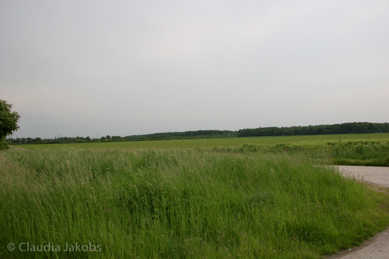 090521174915 IMG 4707