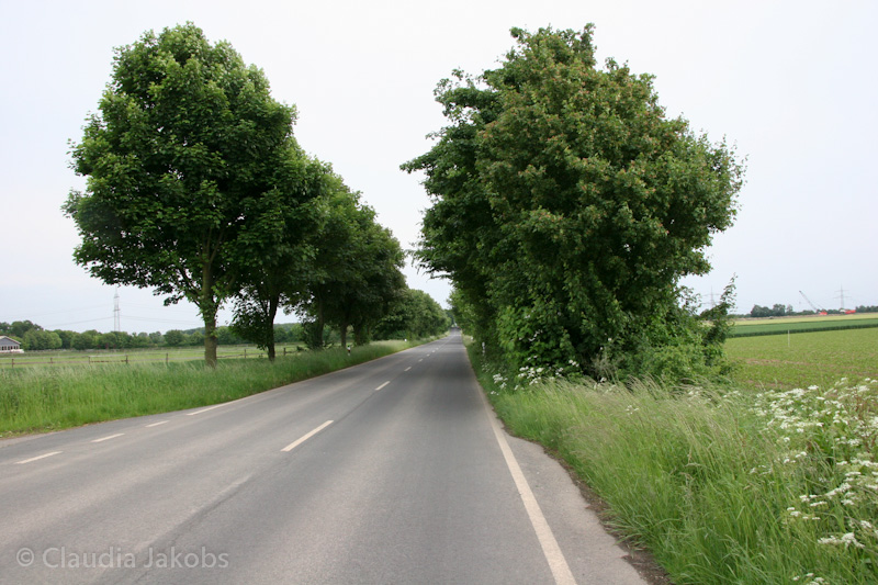 090521175352 IMG 4710