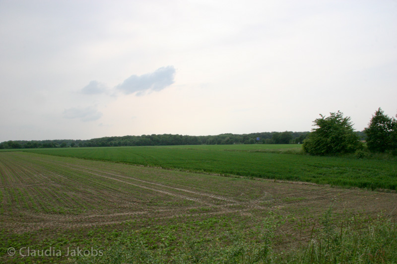 090521180247 IMG 4719