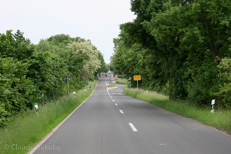 090521180319 IMG 4721