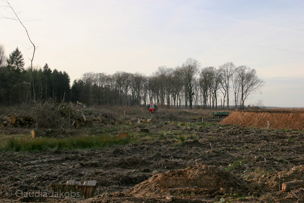 111211131740 IMG 0845