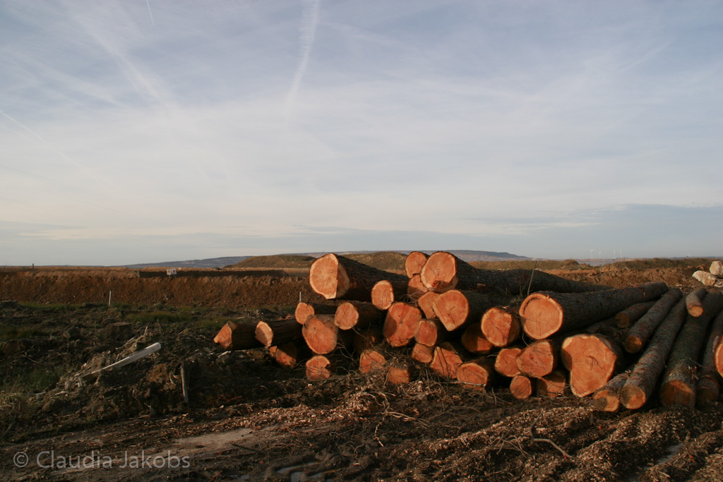 111211131758 IMG 0848