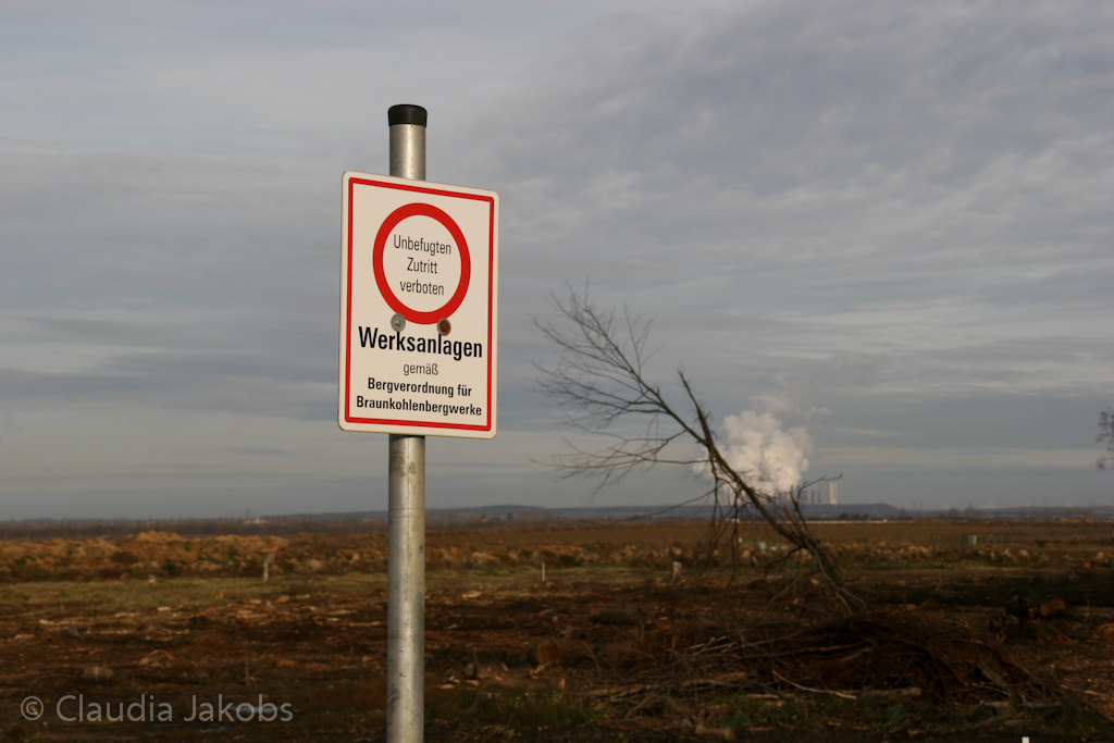 111211131850 IMG 0851