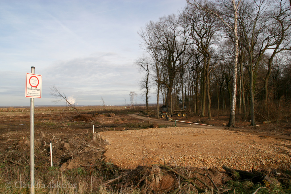 111211131855 IMG 0852