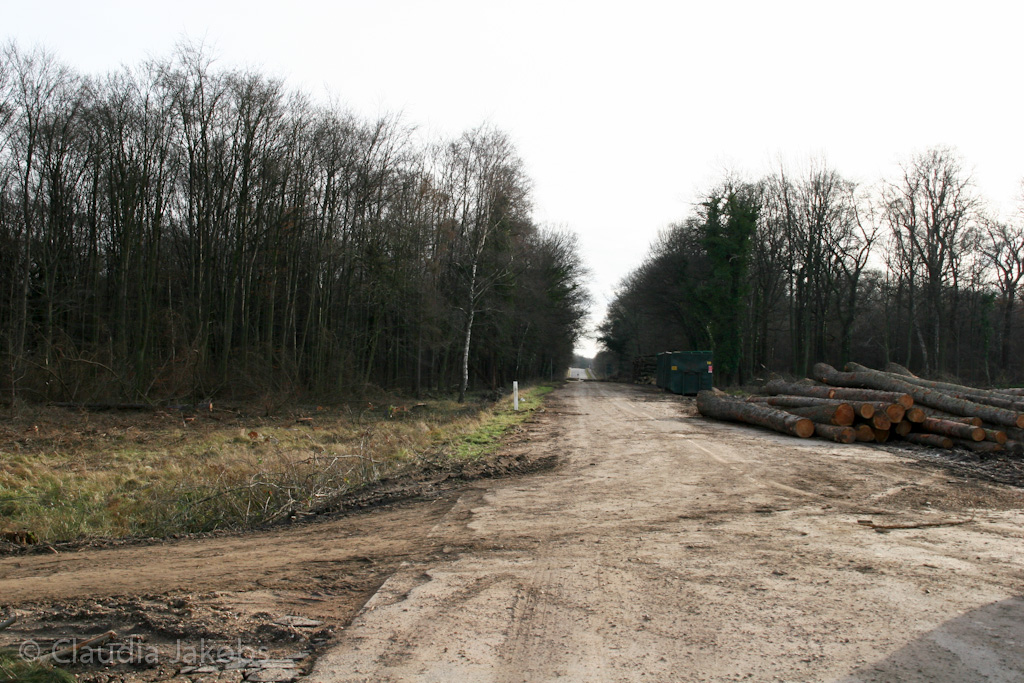 111211131903 IMG 0853