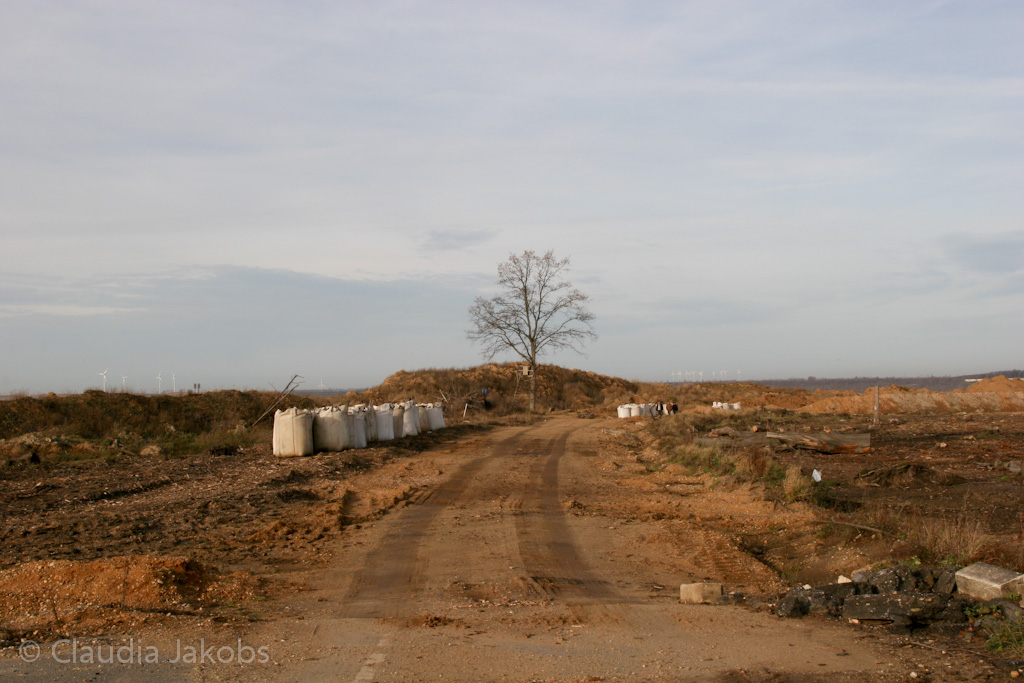 111211131914 IMG 0854