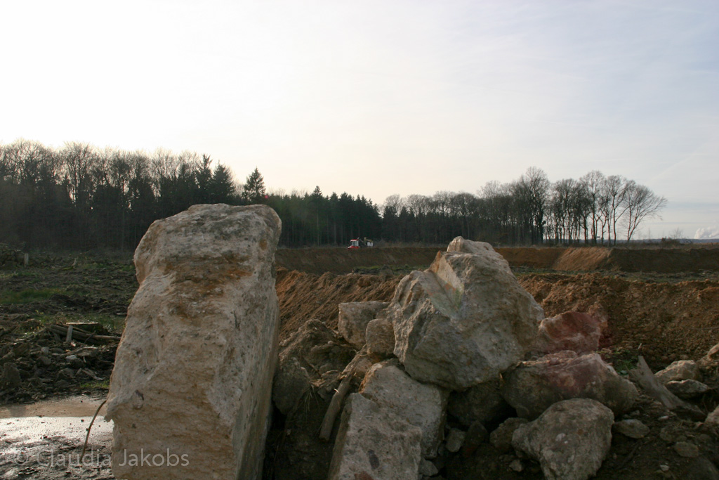 111211131954 IMG 0856