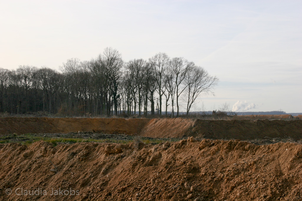 111211132008 IMG 0857