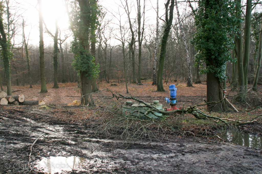 111211132320 IMG 0862