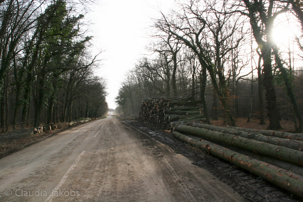 111211132337 IMG 0863