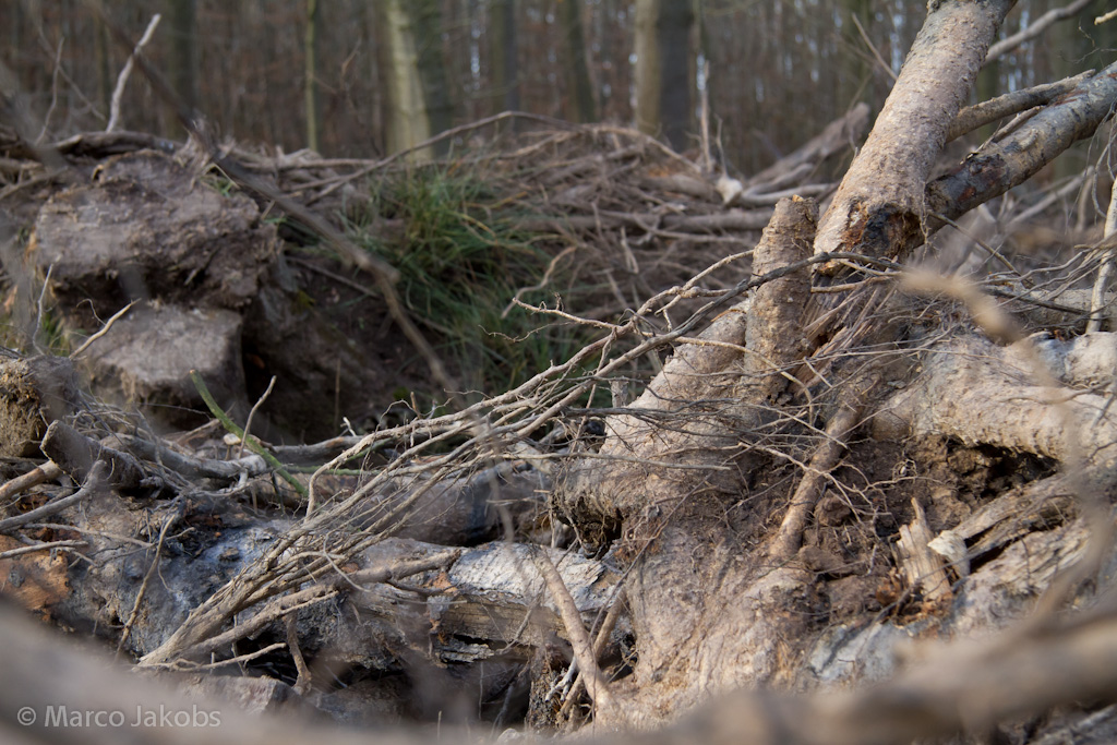 111211132536 IMG 6721