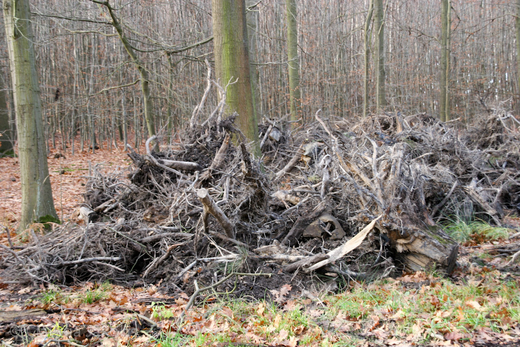 111211132537 IMG 0867