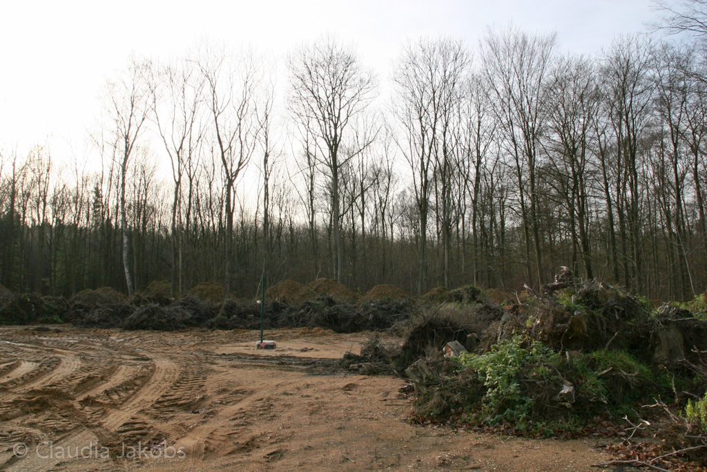 111211132928 IMG 0875