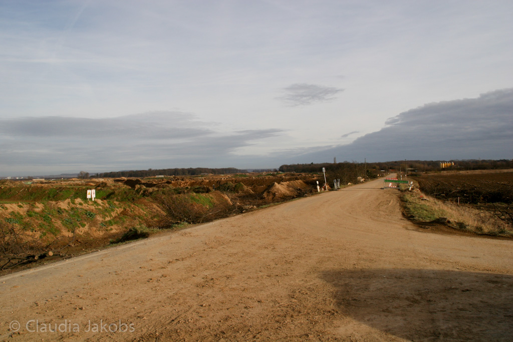 111211134123 IMG 0883