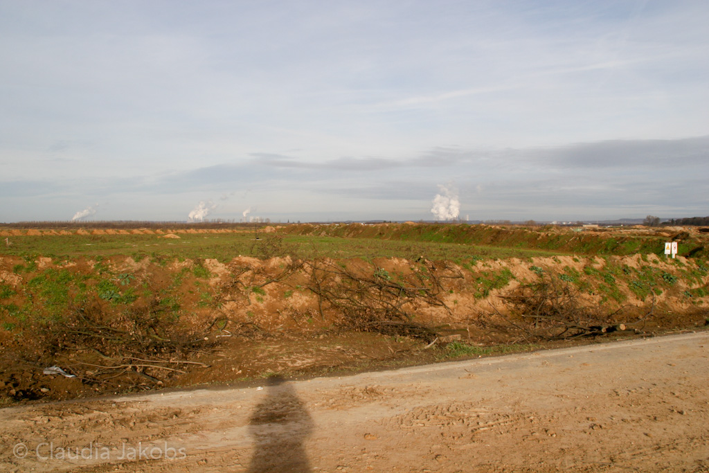 111211134129 IMG 0884