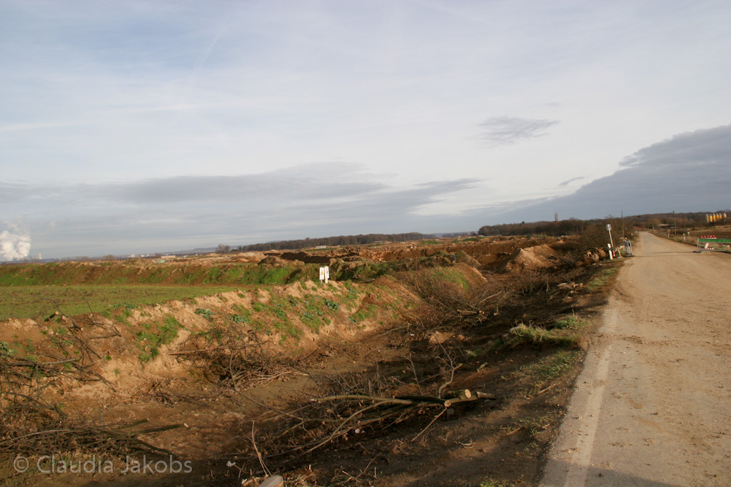 111211134141 IMG 0885