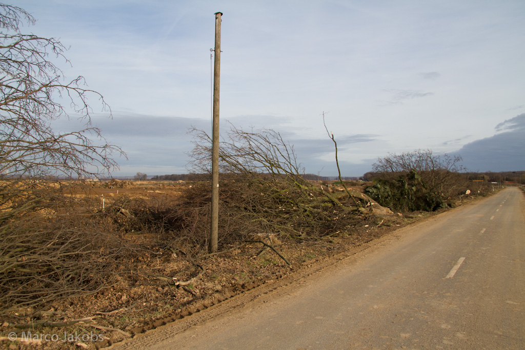 111211134339 IMG 6732